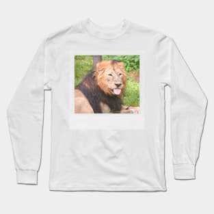 LION Cute Lion With Tonge Out Jungle Nature Cats & Kittens Picture Long Sleeve T-Shirt